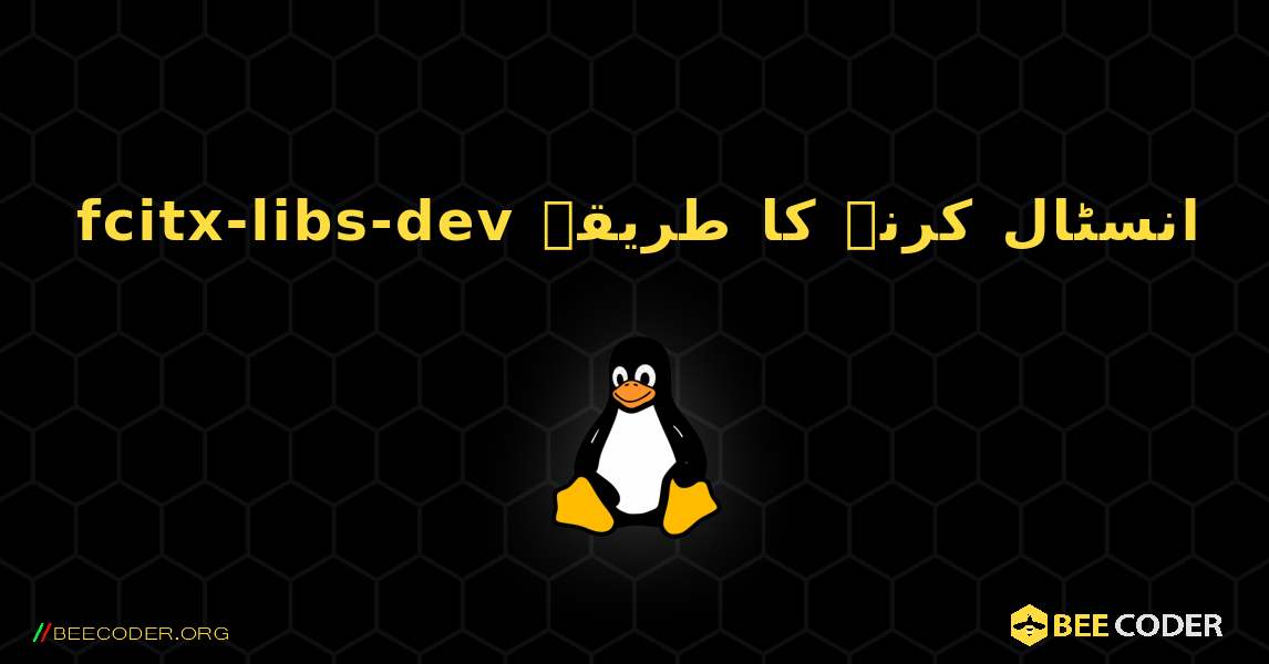 fcitx-libs-dev  انسٹال کرنے کا طریقہ. Linux