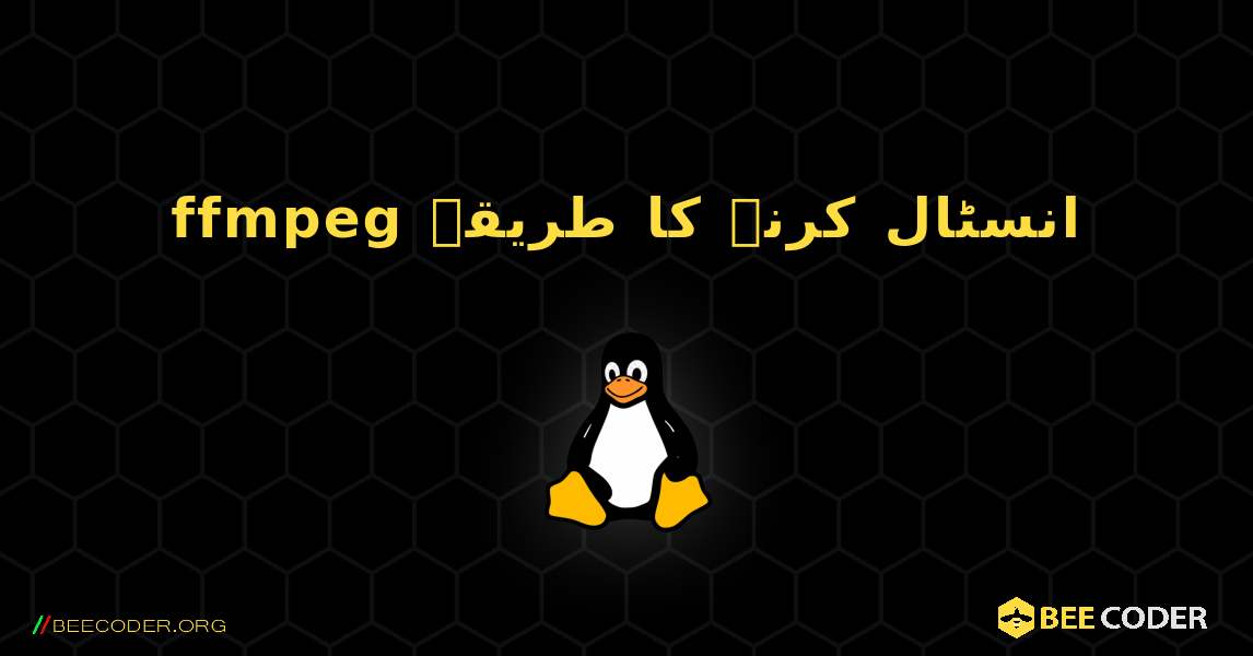 ffmpeg  انسٹال کرنے کا طریقہ. Linux