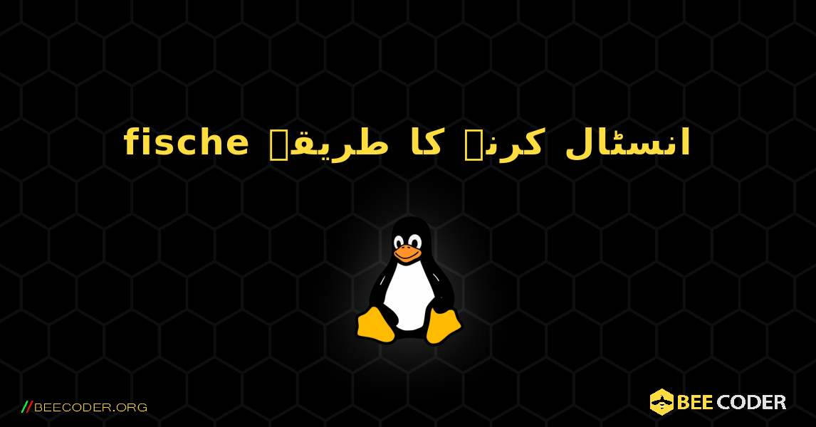 fische  انسٹال کرنے کا طریقہ. Linux