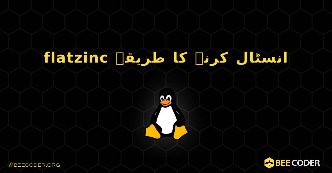 flatzinc  انسٹال کرنے کا طریقہ. Linux