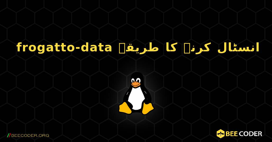 frogatto-data  انسٹال کرنے کا طریقہ. Linux