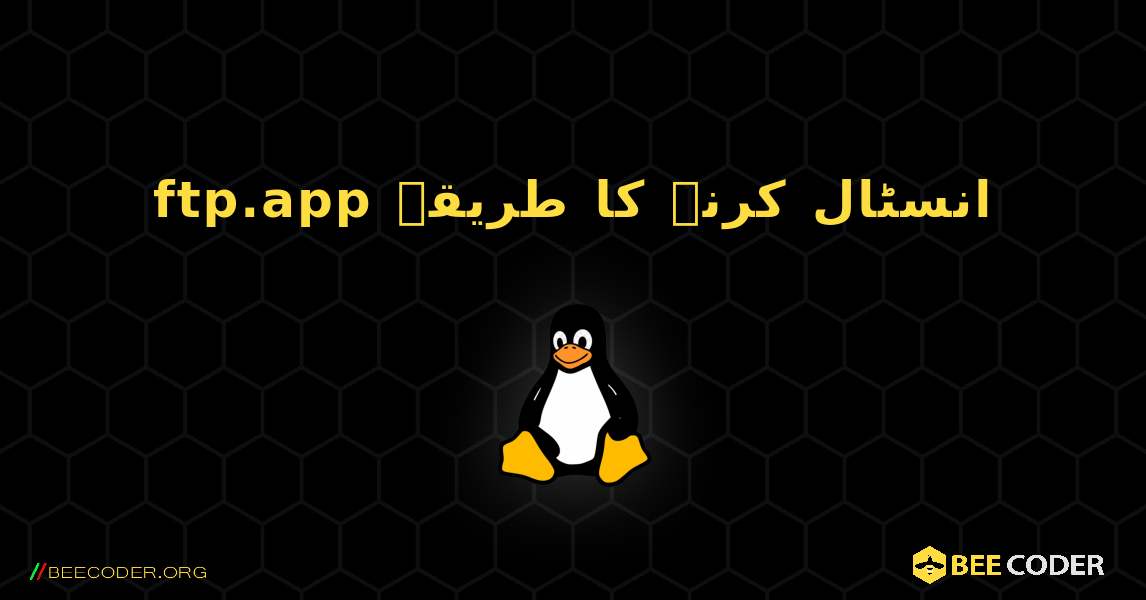 ftp.app  انسٹال کرنے کا طریقہ. Linux