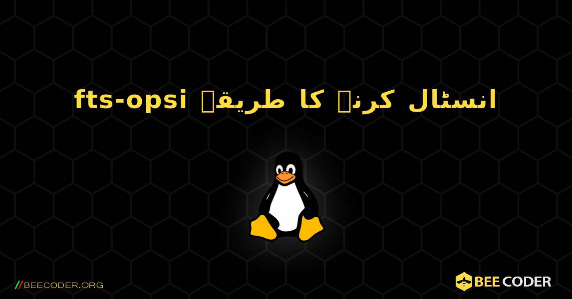 fts-opsi  انسٹال کرنے کا طریقہ. Linux