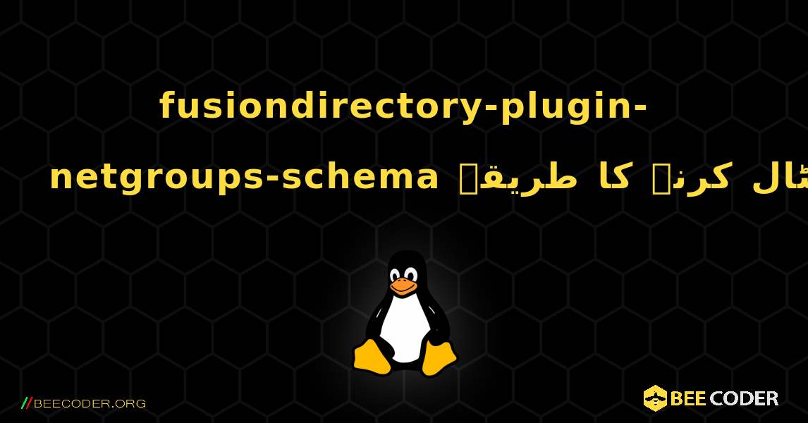 fusiondirectory-plugin-netgroups-schema  انسٹال کرنے کا طریقہ. Linux