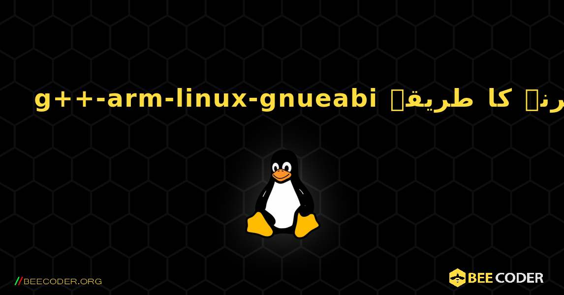 g++-arm-linux-gnueabi  انسٹال کرنے کا طریقہ. Linux