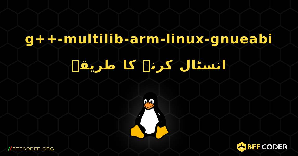 g++-multilib-arm-linux-gnueabi  انسٹال کرنے کا طریقہ. Linux
