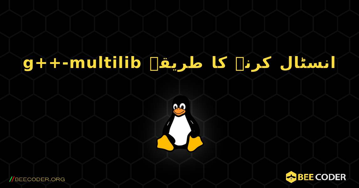 g++-multilib  انسٹال کرنے کا طریقہ. Linux