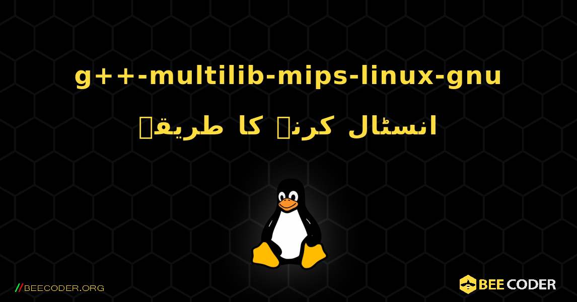 g++-multilib-mips-linux-gnu  انسٹال کرنے کا طریقہ. Linux