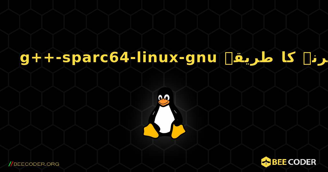 g++-sparc64-linux-gnu  انسٹال کرنے کا طریقہ. Linux