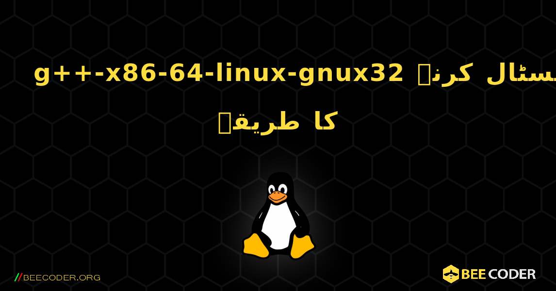g++-x86-64-linux-gnux32  انسٹال کرنے کا طریقہ. Linux
