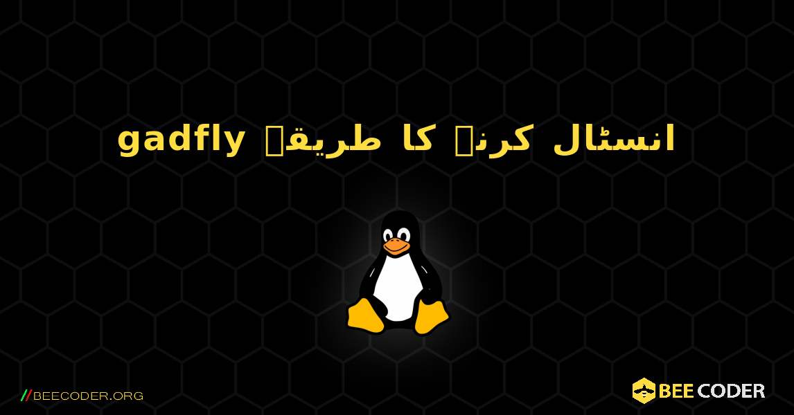 gadfly  انسٹال کرنے کا طریقہ. Linux