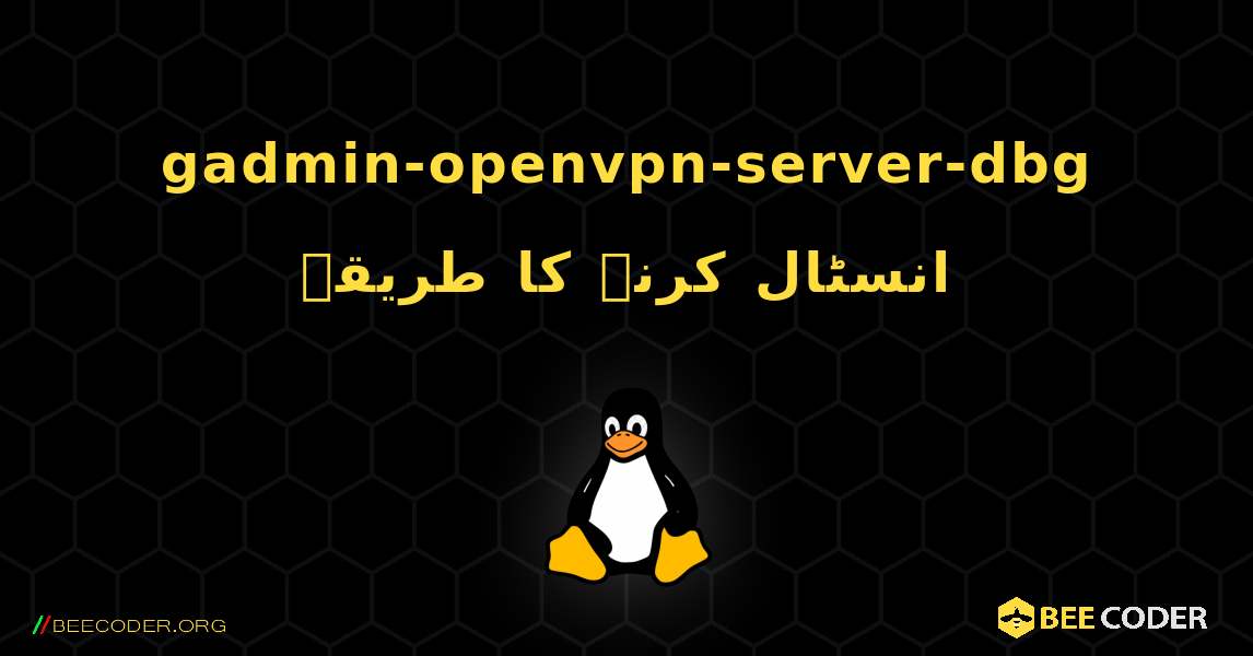 gadmin-openvpn-server-dbg  انسٹال کرنے کا طریقہ. Linux