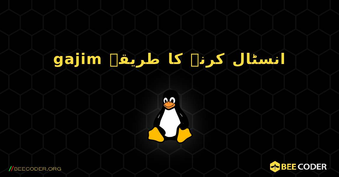 gajim  انسٹال کرنے کا طریقہ. Linux