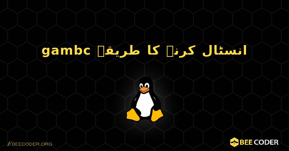 gambc  انسٹال کرنے کا طریقہ. Linux