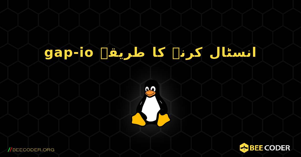 gap-io  انسٹال کرنے کا طریقہ. Linux