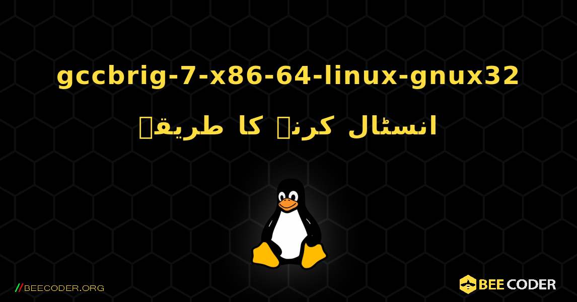 gccbrig-7-x86-64-linux-gnux32  انسٹال کرنے کا طریقہ. Linux