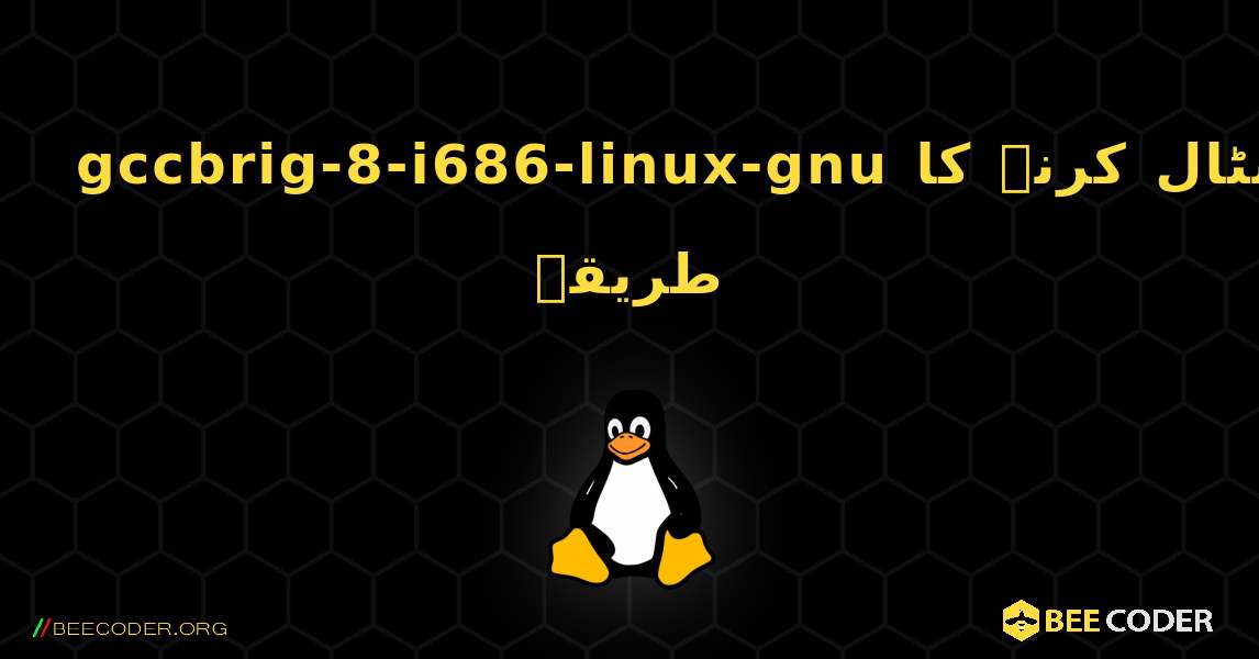 gccbrig-8-i686-linux-gnu  انسٹال کرنے کا طریقہ. Linux