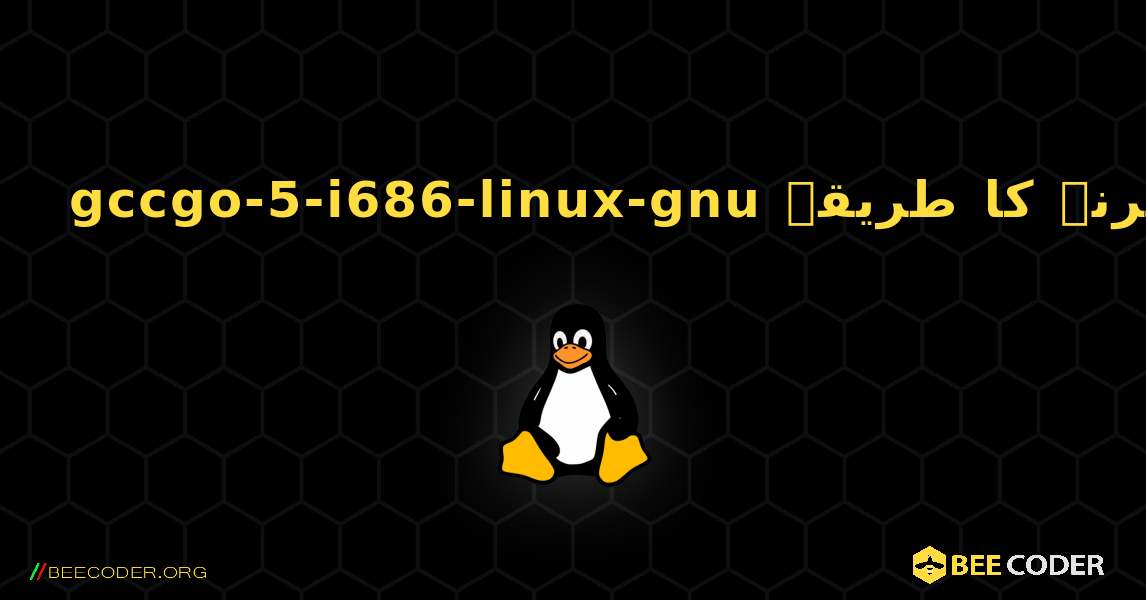 gccgo-5-i686-linux-gnu  انسٹال کرنے کا طریقہ. Linux