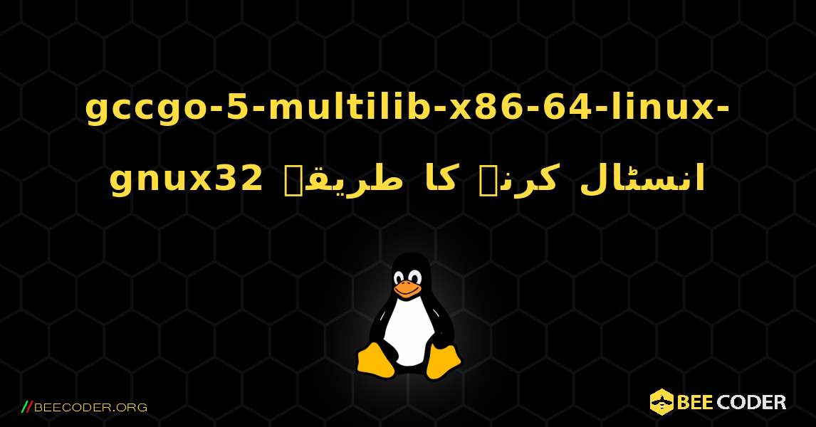 gccgo-5-multilib-x86-64-linux-gnux32  انسٹال کرنے کا طریقہ. Linux
