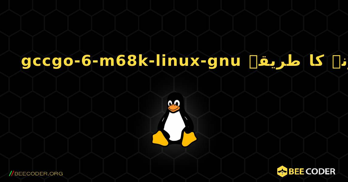 gccgo-6-m68k-linux-gnu  انسٹال کرنے کا طریقہ. Linux