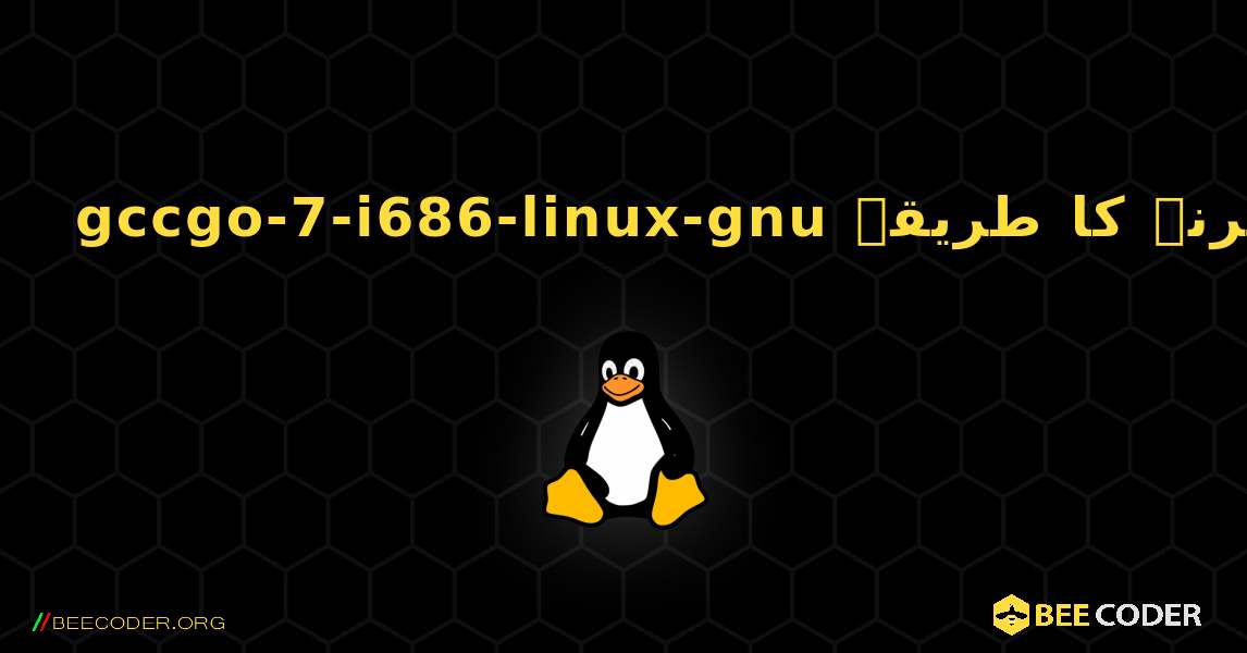 gccgo-7-i686-linux-gnu  انسٹال کرنے کا طریقہ. Linux