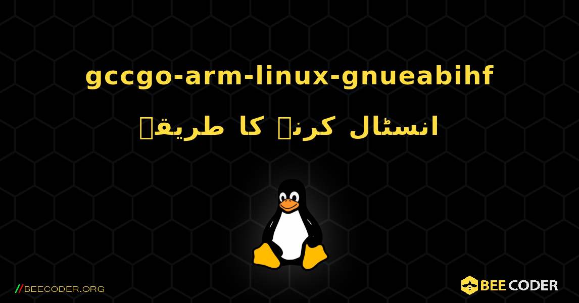 gccgo-arm-linux-gnueabihf  انسٹال کرنے کا طریقہ. Linux