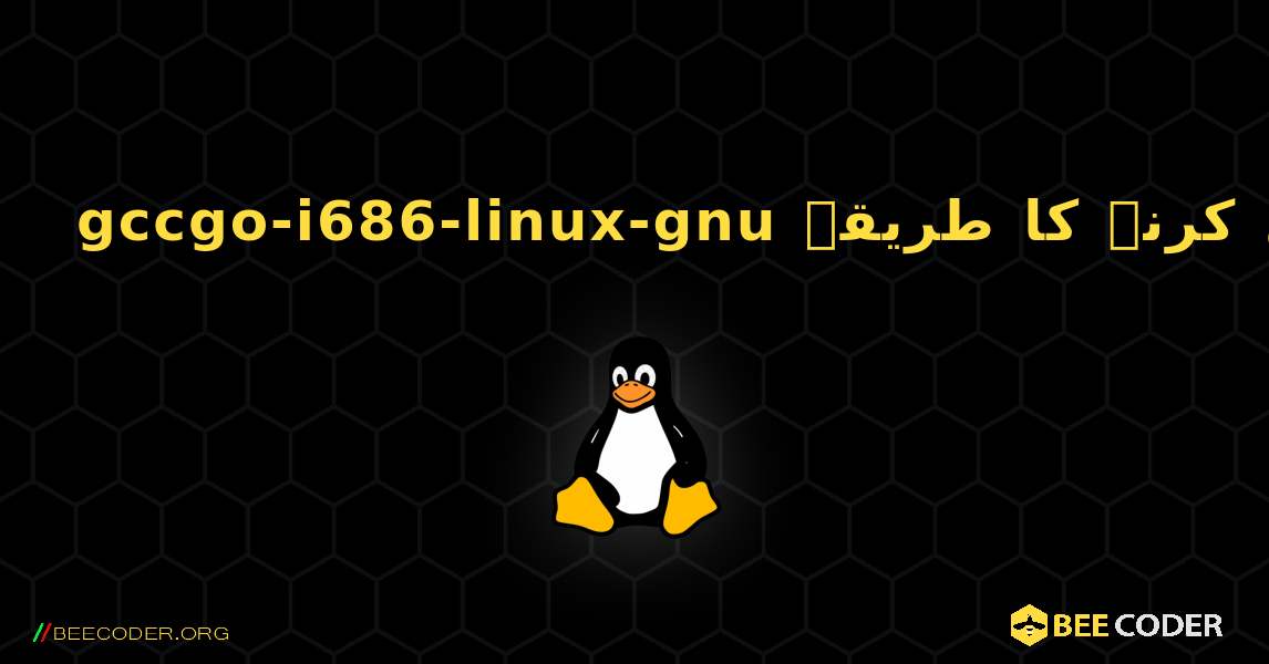 gccgo-i686-linux-gnu  انسٹال کرنے کا طریقہ. Linux