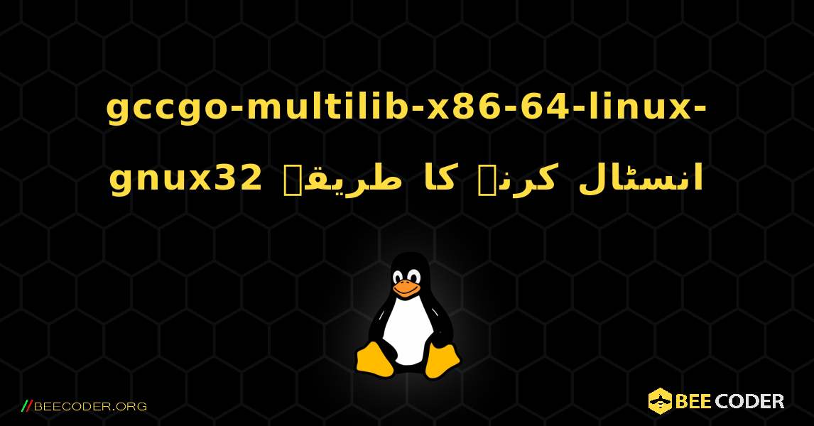 gccgo-multilib-x86-64-linux-gnux32  انسٹال کرنے کا طریقہ. Linux