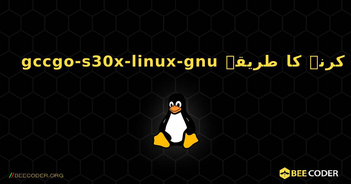 gccgo-s30x-linux-gnu  انسٹال کرنے کا طریقہ. Linux