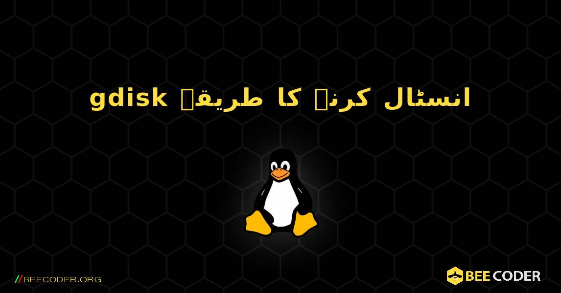 gdisk  انسٹال کرنے کا طریقہ. Linux