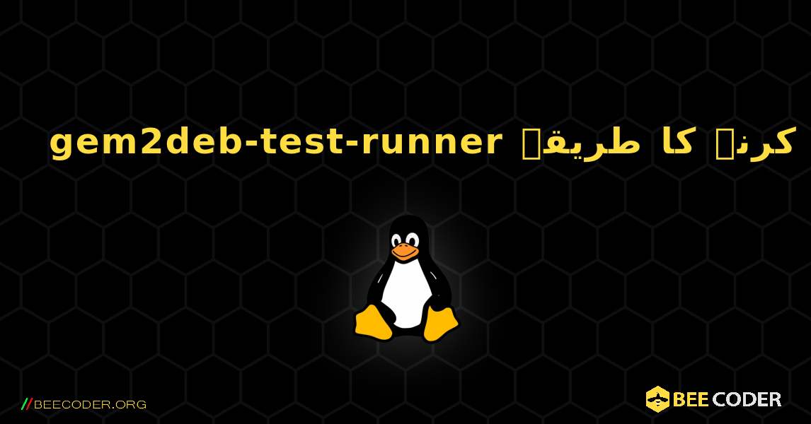 gem2deb-test-runner  انسٹال کرنے کا طریقہ. Linux