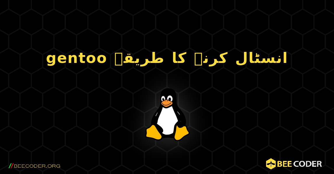 gentoo  انسٹال کرنے کا طریقہ. Linux