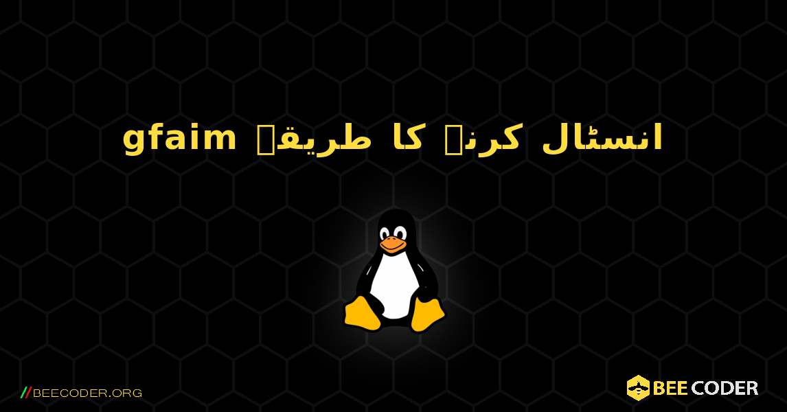 gfaim  انسٹال کرنے کا طریقہ. Linux