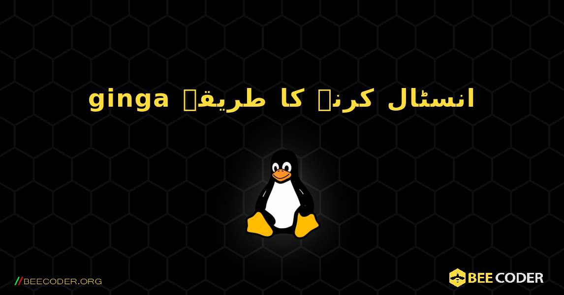 ginga  انسٹال کرنے کا طریقہ. Linux