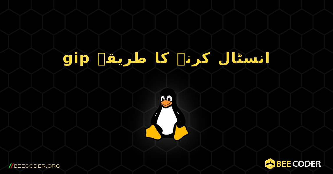 gip  انسٹال کرنے کا طریقہ. Linux