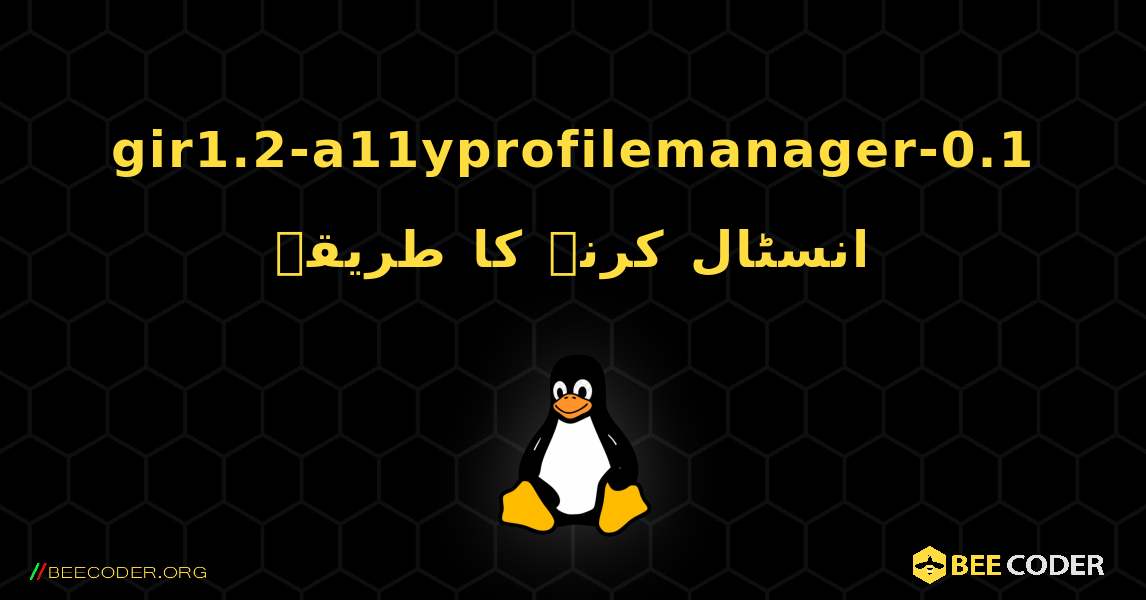 gir1.2-a11yprofilemanager-0.1  انسٹال کرنے کا طریقہ. Linux