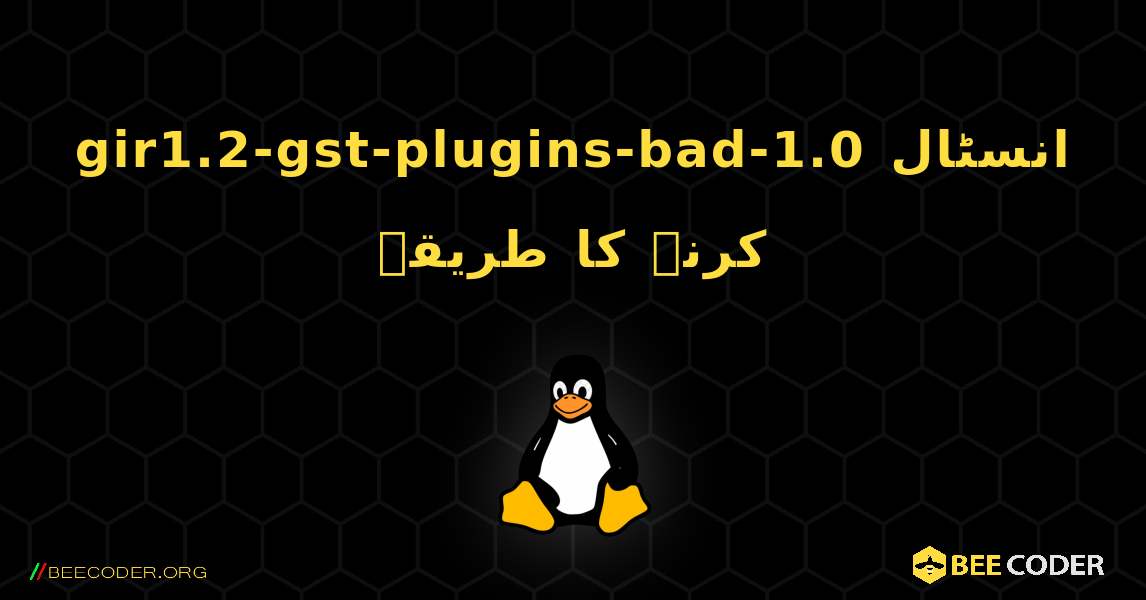 gir1.2-gst-plugins-bad-1.0  انسٹال کرنے کا طریقہ. Linux