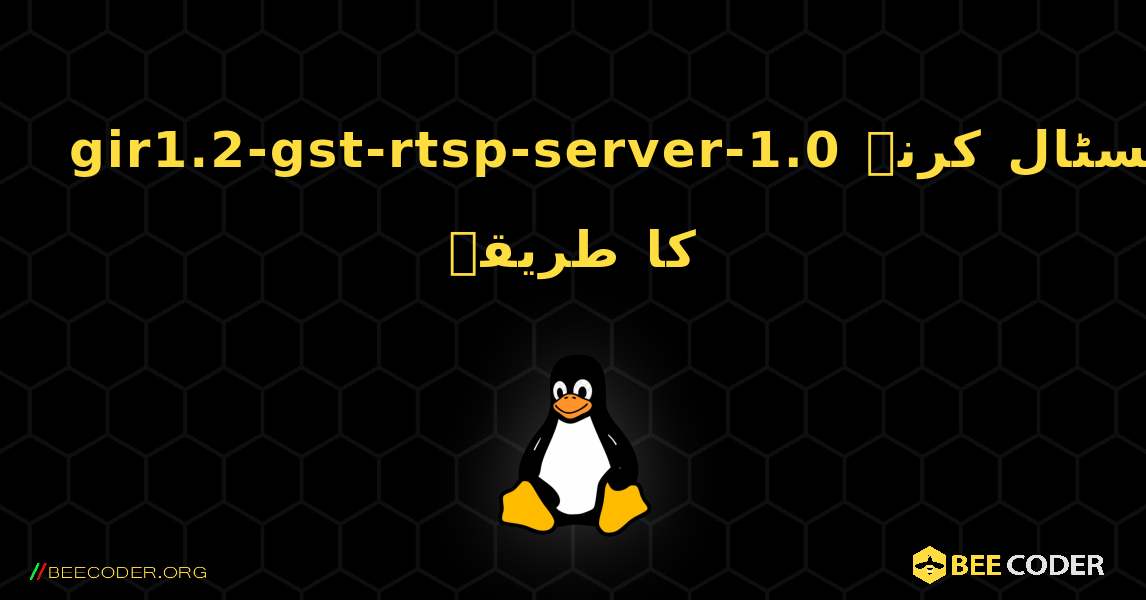 gir1.2-gst-rtsp-server-1.0  انسٹال کرنے کا طریقہ. Linux