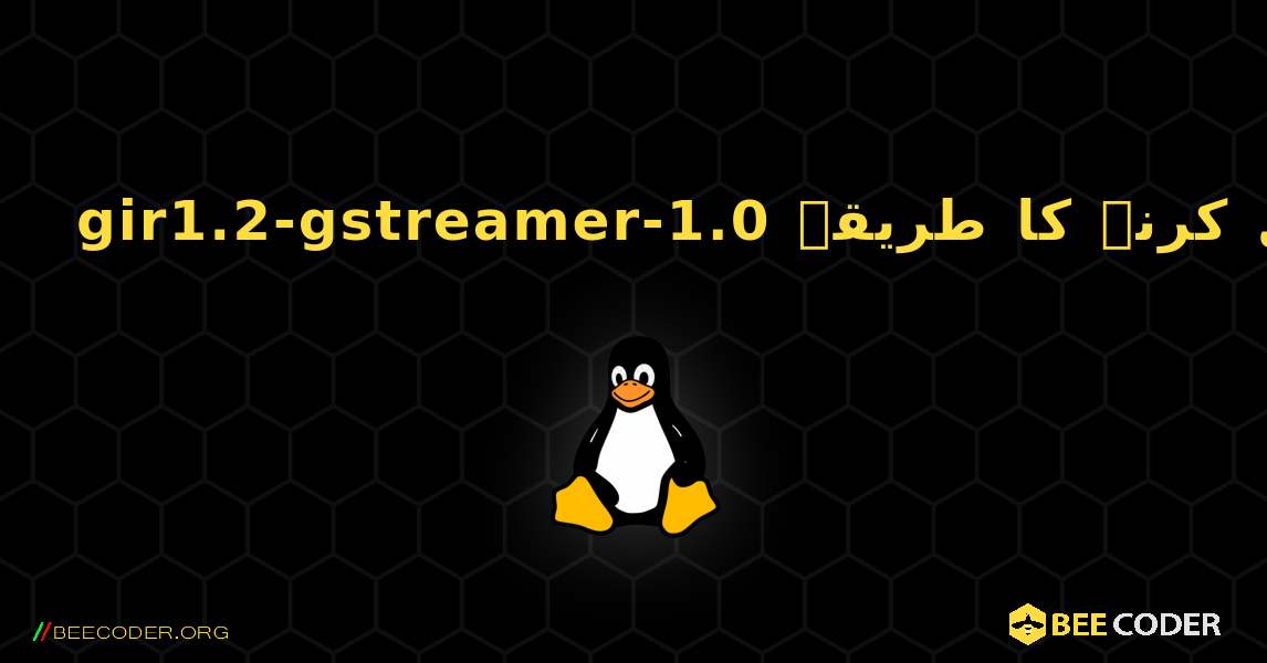 gir1.2-gstreamer-1.0  انسٹال کرنے کا طریقہ. Linux