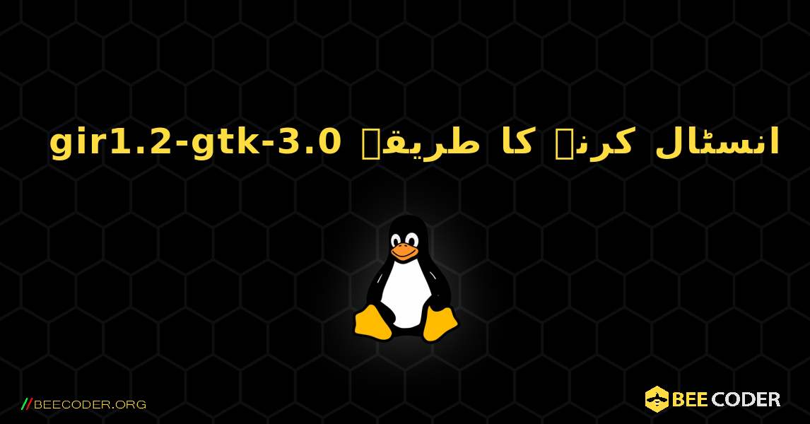 gir1.2-gtk-3.0  انسٹال کرنے کا طریقہ. Linux