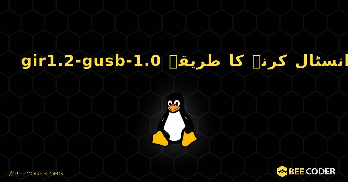 gir1.2-gusb-1.0  انسٹال کرنے کا طریقہ. Linux