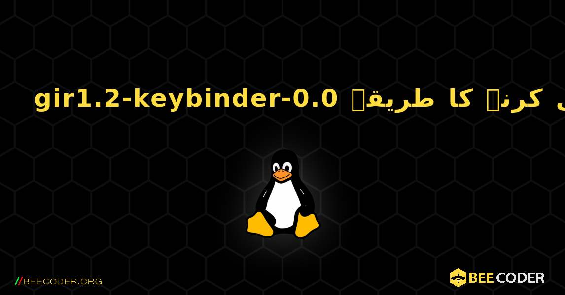 gir1.2-keybinder-0.0  انسٹال کرنے کا طریقہ. Linux
