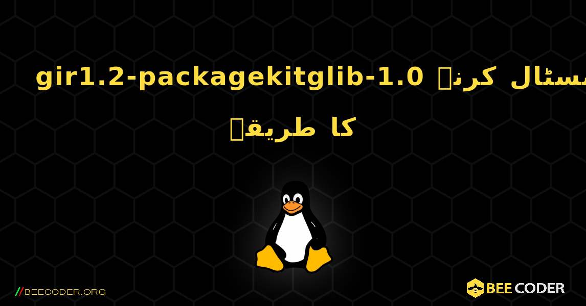 gir1.2-packagekitglib-1.0  انسٹال کرنے کا طریقہ. Linux