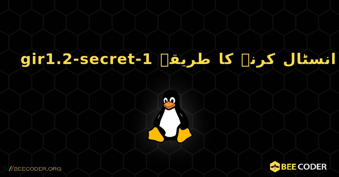 gir1.2-secret-1  انسٹال کرنے کا طریقہ. Linux