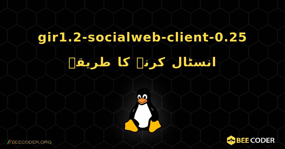 gir1.2-socialweb-client-0.25  انسٹال کرنے کا طریقہ. Linux