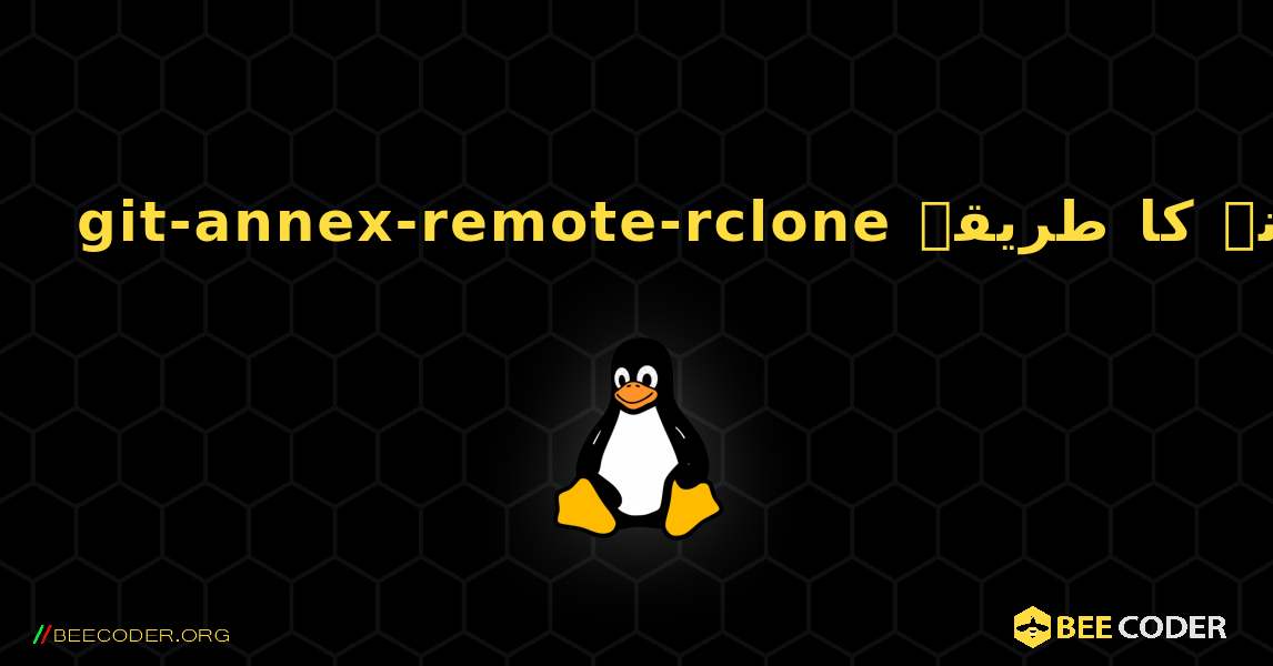 git-annex-remote-rclone  انسٹال کرنے کا طریقہ. Linux