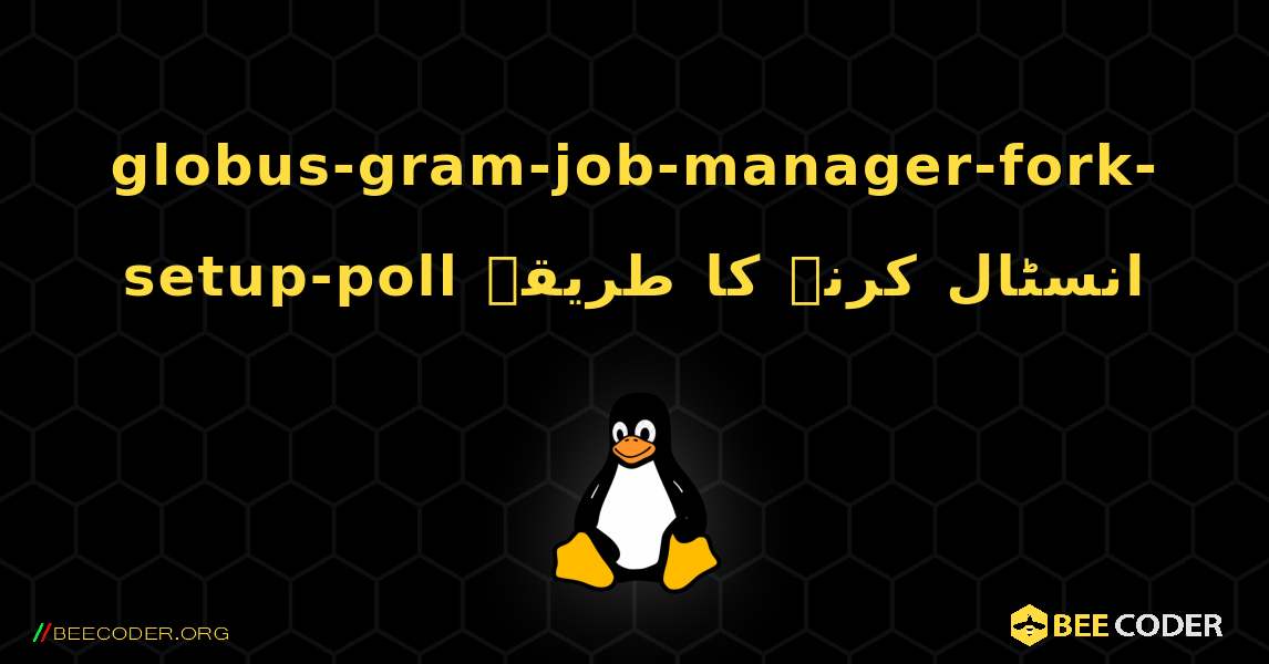 globus-gram-job-manager-fork-setup-poll  انسٹال کرنے کا طریقہ. Linux