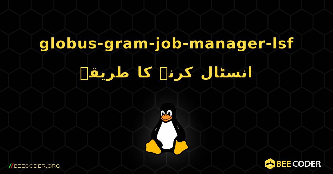 globus-gram-job-manager-lsf  انسٹال کرنے کا طریقہ. Linux