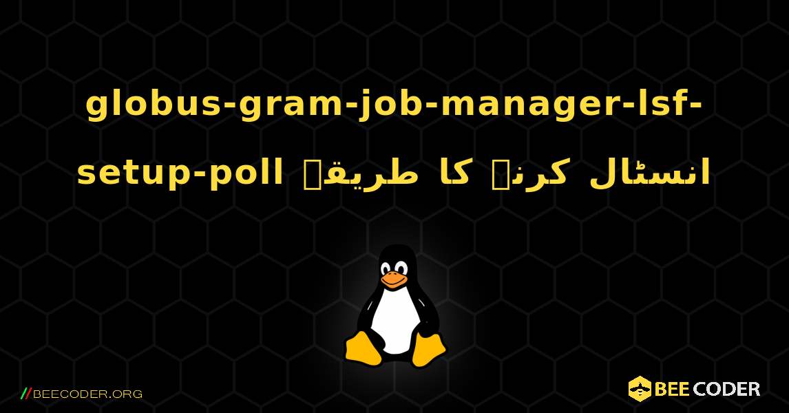 globus-gram-job-manager-lsf-setup-poll  انسٹال کرنے کا طریقہ. Linux