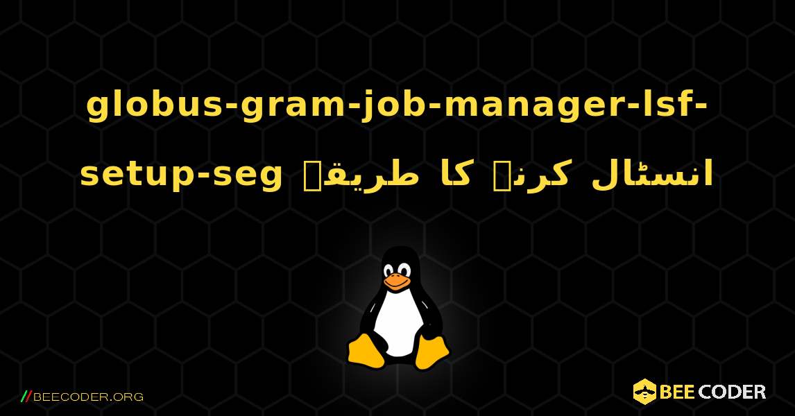 globus-gram-job-manager-lsf-setup-seg  انسٹال کرنے کا طریقہ. Linux